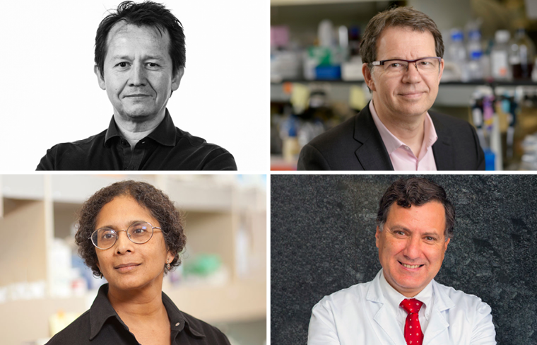 Plenary showcases researchers sharing innovative ways to engage the immune system to fight cancer