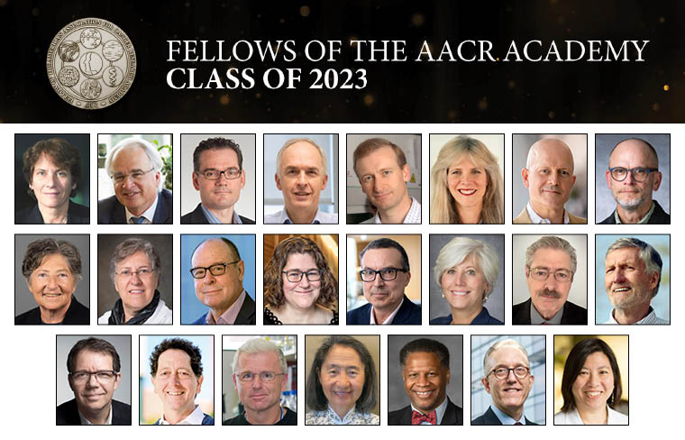 AACR Academy will welcome new class of Fellows at Annual Meeting