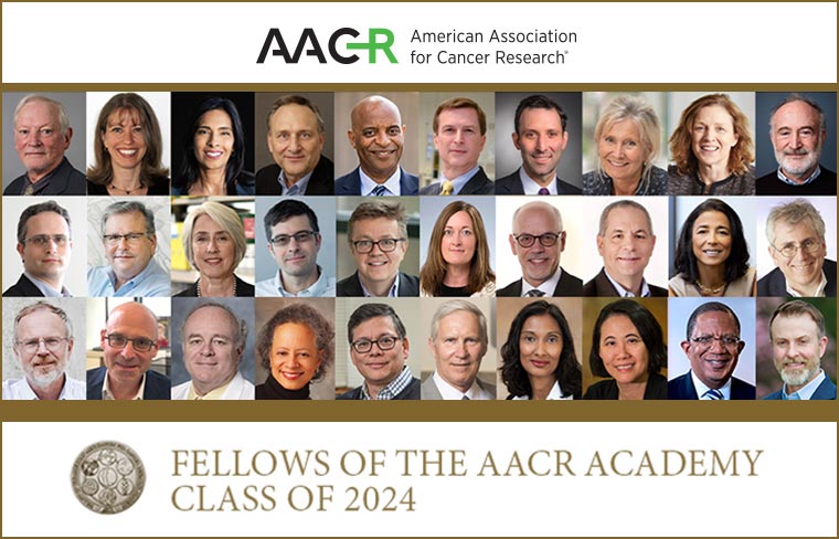 Annual Meeting to recognize 30 new Fellows of the AACR Academy