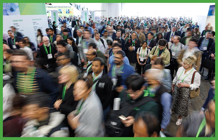 Preparing for the meeting with in-person and virtual options, runs, rock shows, and more